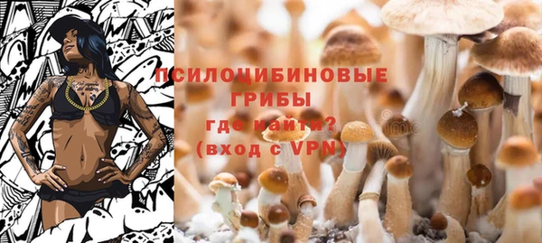 COCAINE Карпинск