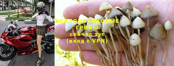 прущие крисы Алексеевка