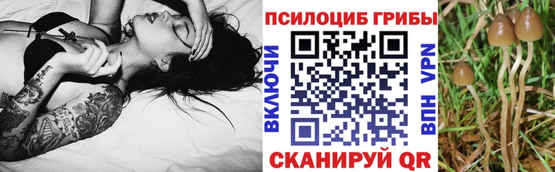 Галлюциногенные грибы GOLDEN TEACHER  даркнет сайт  Сунжа 